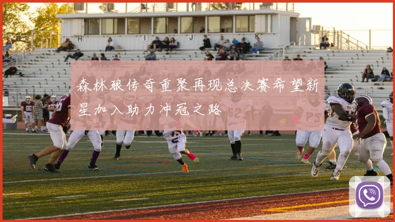 森林狼传奇重聚再现总决赛希望新星加入助力冲冠之路