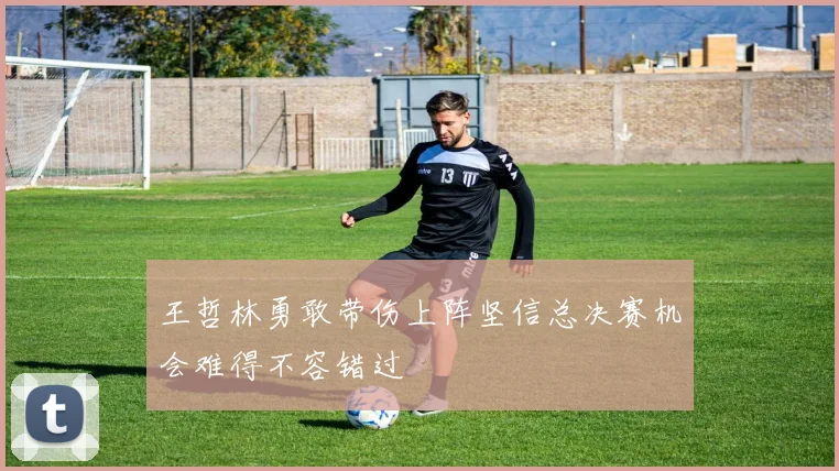 王哲林勇敢带伤上阵坚信总决赛机会难得不容错过